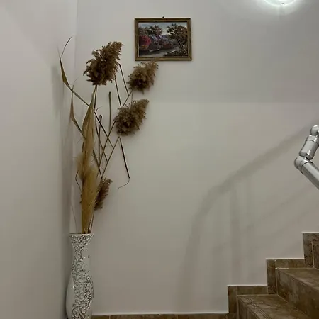 Jamais Vue Διαμέρισμα Νεσέμπαρ